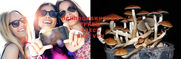круглые Няндома