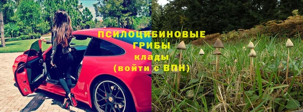 круглые Няндома