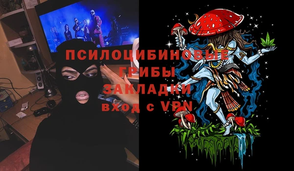 круглые Няндома