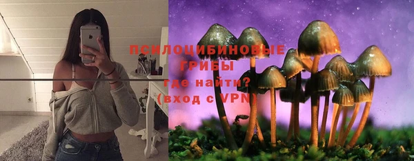 круглые Няндома