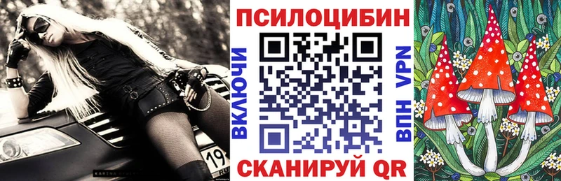 как найти закладки  Правдинск  гидра рабочий сайт  Псилоцибиновые грибы ЛСД 